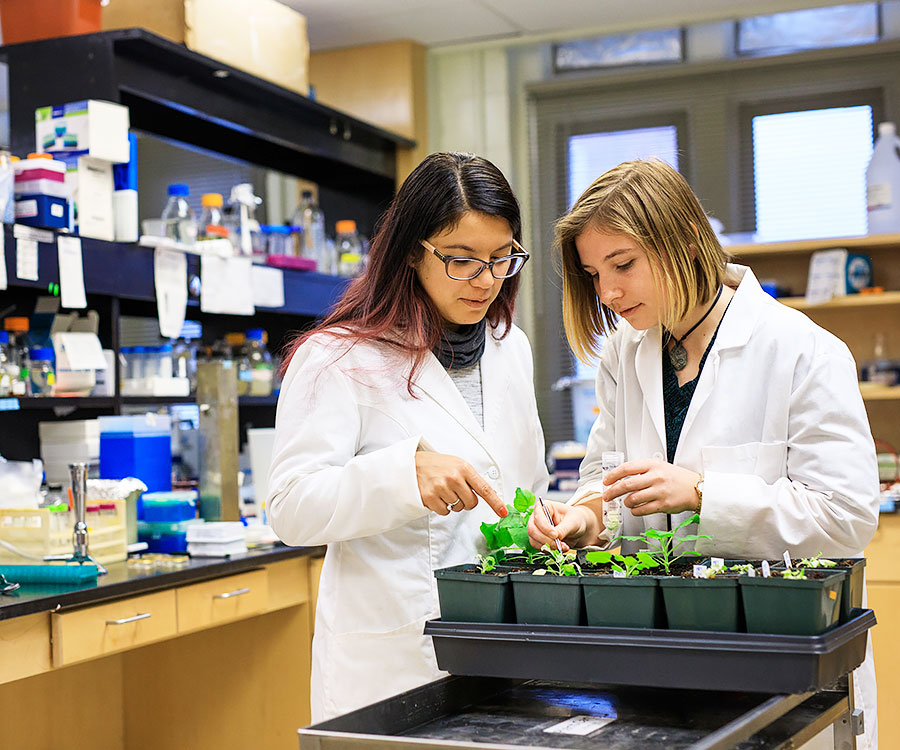 A graduate student works alongside an undergraduate student in a lab inside the Hesler Biology Building 